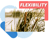Flexibility
